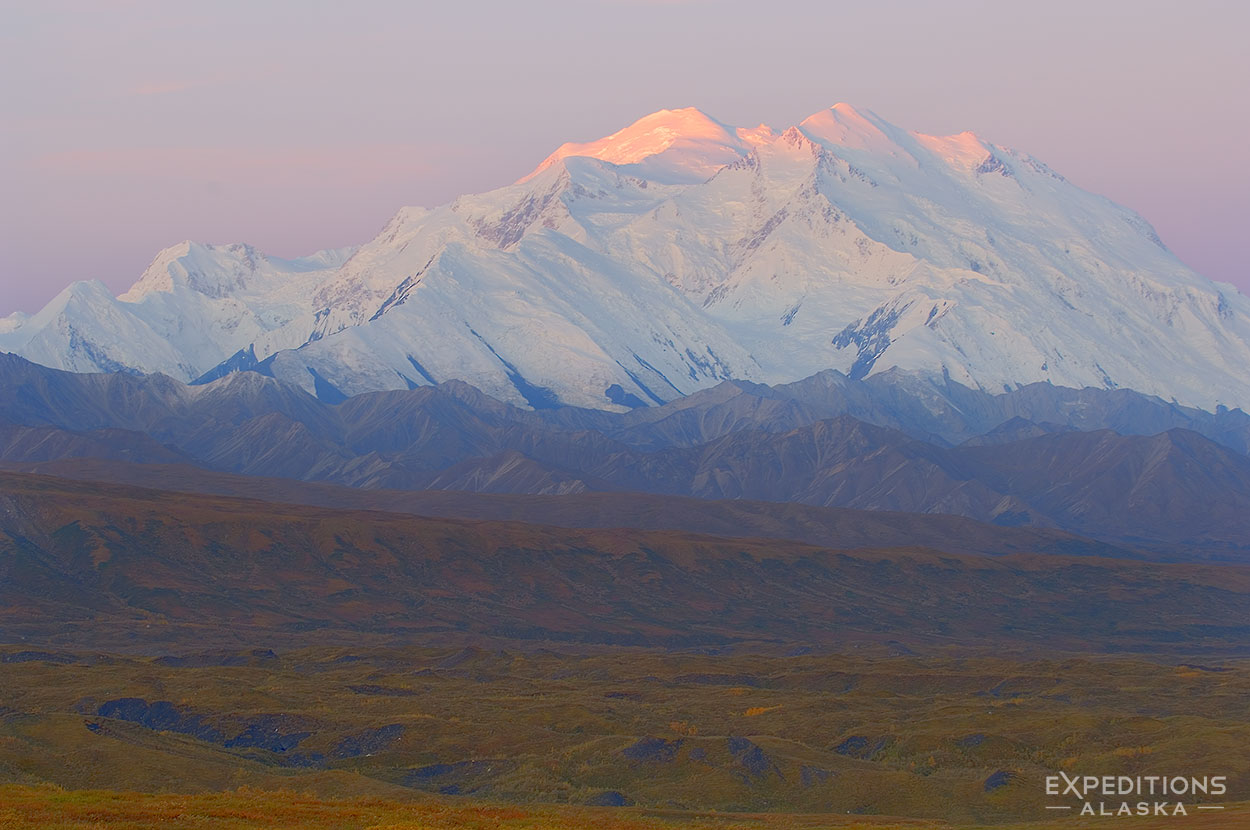Beautiful dawn light splashes the peaks of Mt. Denali, Denali National Park and Preserve, Alaska.