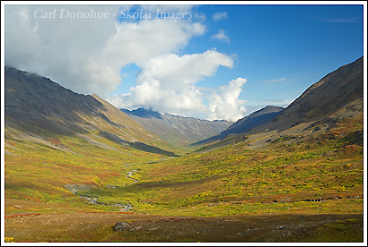 Fall colors in Monahan Creek, Chugach Mountains, Wrangell-St. Elias National Park, Alaska.