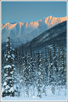 Fireweed Mountain, winter, Wrangell St. Elias National Park, Alaska.
