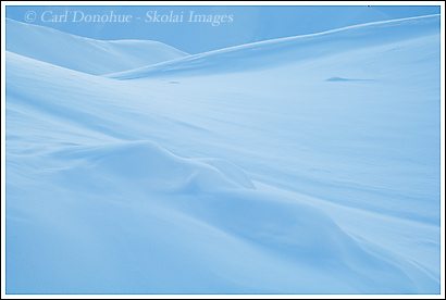 A snow covered hillside in Wrangell-St. Elias national Park, Alaska.