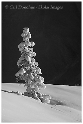 Black and white photo, winter, Wrangell-St. Elias National Park, Alaska.