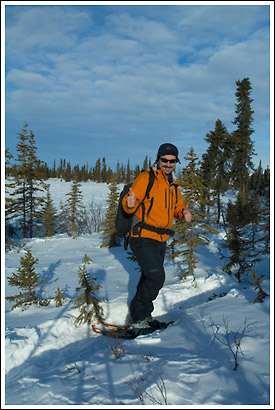 snowshoeing the boreal forest, Wrangell-St. Elias National Park, Alaska.