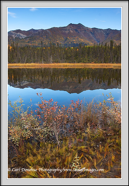 Fireweed Mountain and reflection, fall, Wrangell-St. Elias National Park, Alaska.