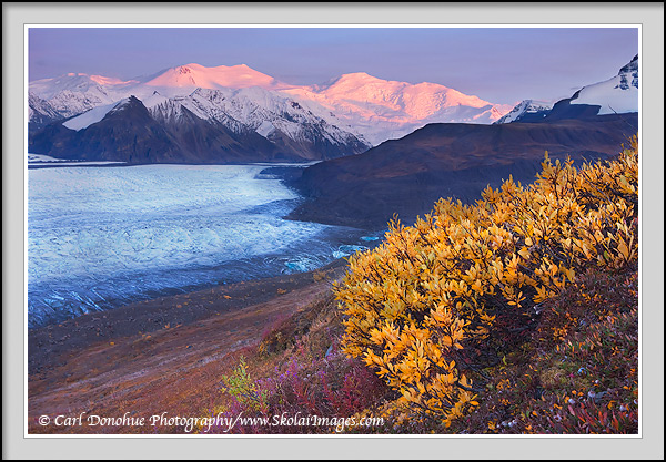 Tallest peaks in the University Range, Mt. Churchill and Mt. Bona rise dramatically from Russell Glacier, catching the last rays of the day, Fall colors in the foreground, Wrangell-St. Elias National Park, Alaska.