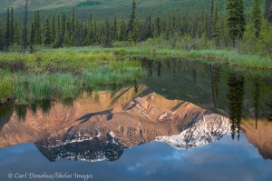Morning reflection, beaver pond, Wrangell St. Elias