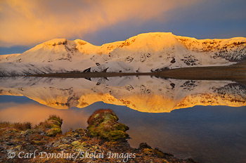 Sunrise glows on the peak of Mount Jarvis, and a near perfect reflection lights up a small alpine tarn in the Wrangell Mountains, Wrangell-St. Elias National Park and Preserve, Alaska.