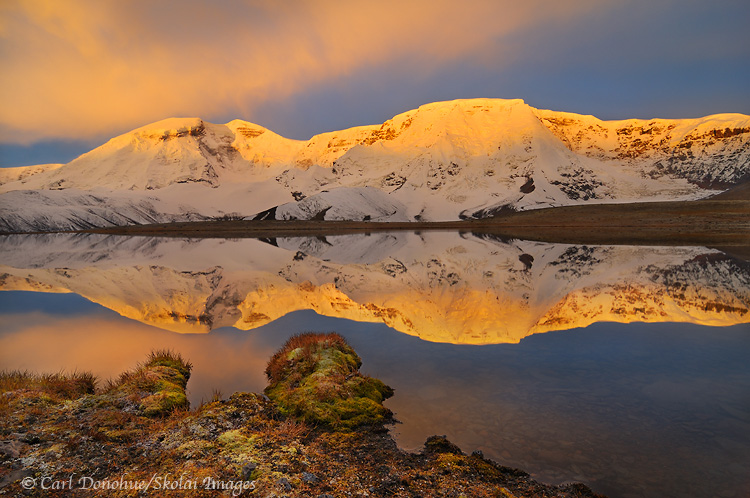 Sunrise glows on the peak of Mount Jarvis, and a near perfect reflection lights up a small alpine tarn in the Wrangell Mountains, Wrangell-St. Elias National Park and Preserve, Alaska.