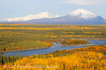 The Copper River, fall colors, Mt Sanford and Mt Drum. Copper River Basin, Wrangell-St. Elias National Park and Preserve, Alaska.