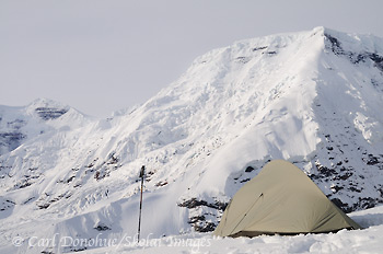 Backcountry campsite, with Big Agnes Seedhouse SL1 tent, facing Mt Jarvis, with fresh snow on the ground, Wrangell-St. Elias National Park and Preserve, Alaska.