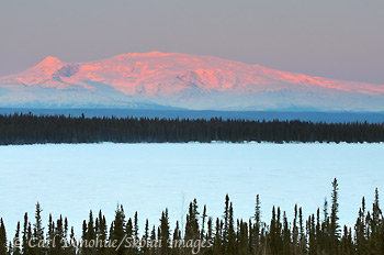 Willow Lake, frozen and snow covered, view across the Copper River basin to Mount Wrangell and Mt Zanetti, winter, alpenglow on the mountains, Wrangell-St. Elias National Park and Preserve, Alaska.