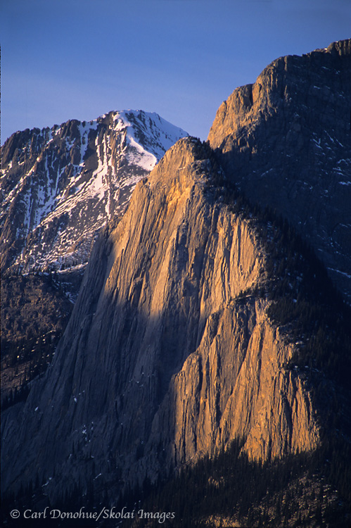 Evening light on the Canadian Rockies.