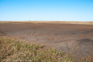 Flat Earth - Drying pond on coastal plain, ANWR, Alaska.