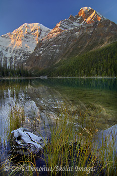 An early fall snow coats the peaks of Mount Edith Cavell, Edith Cavell Lake, Canadian Rockies, Jasper National Park, Alberta, Canada.