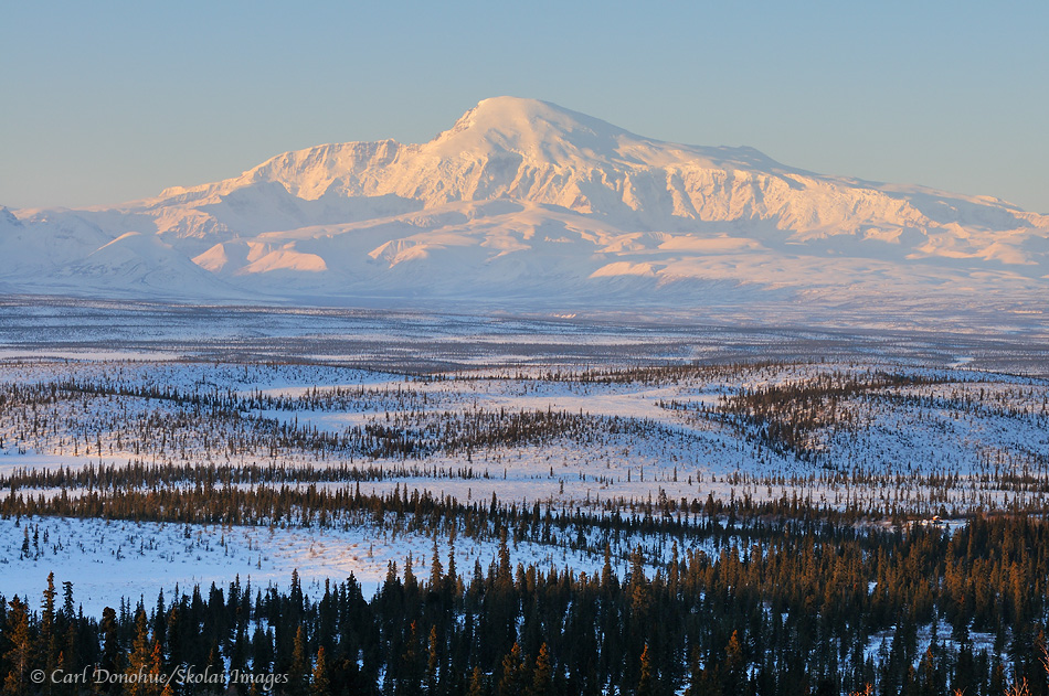 Mount Sanford, alpenglow, Copper River basin at dawn, winter, Wrangell-St. Elias National Park and Preserve, Alaska.