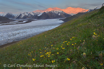 Mount Bona, Wrangell-St. Elias National Park and Preserve, Alaska.