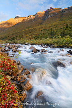 Arrigetch Creek, fall color, Gates of the Arctic National Park, Alaska.