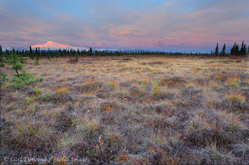 Mount Sanford at sunrise, Wrangell-St. Elias National Park and Preserve, Alaska.