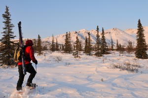 Snowshoeing and backcountry skiing in the Mentasta Mountains, winter, Wrangell-St. Elias National Park and Preserve, Alaska.