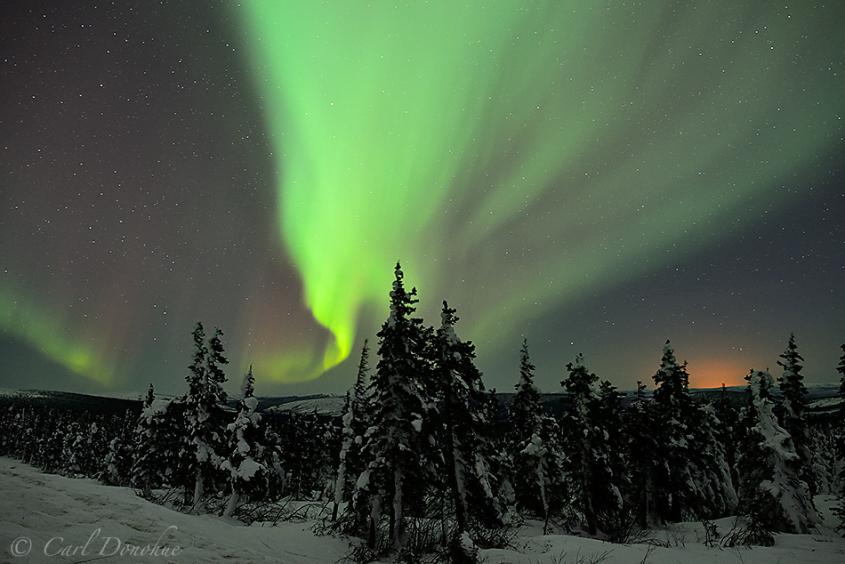 The northern lights over the boreal forest of sub-arctic Alaska.